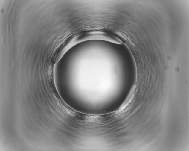 X0000088040192200705111240