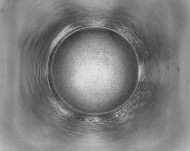 X0000088040195200705111239