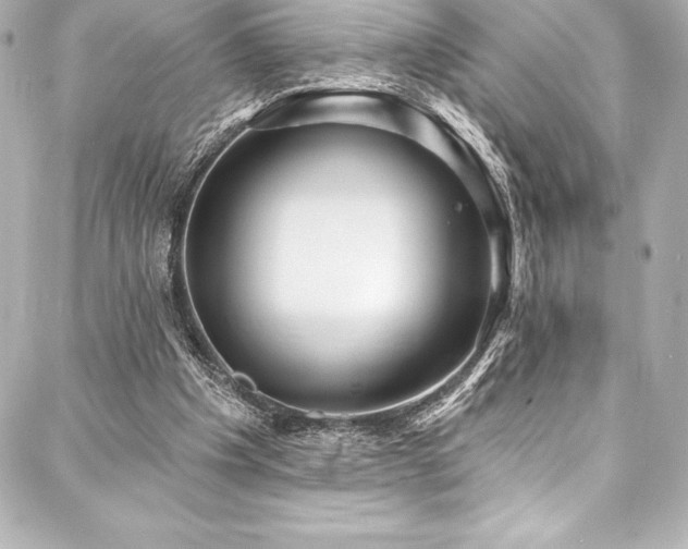 X0000088040201200705111239