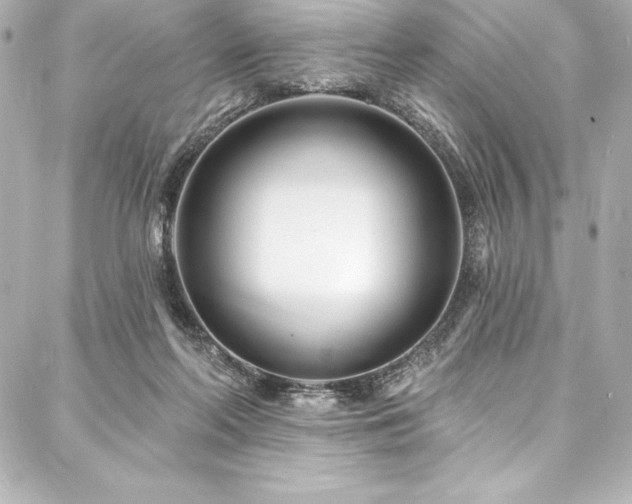 X0000088040214200705111239