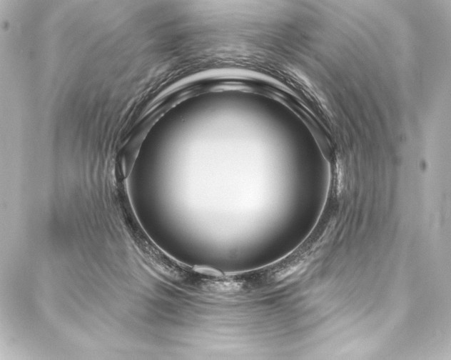 X0000088040217200705111239