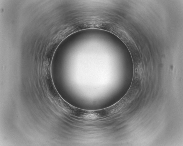 X0000088040218200705111239