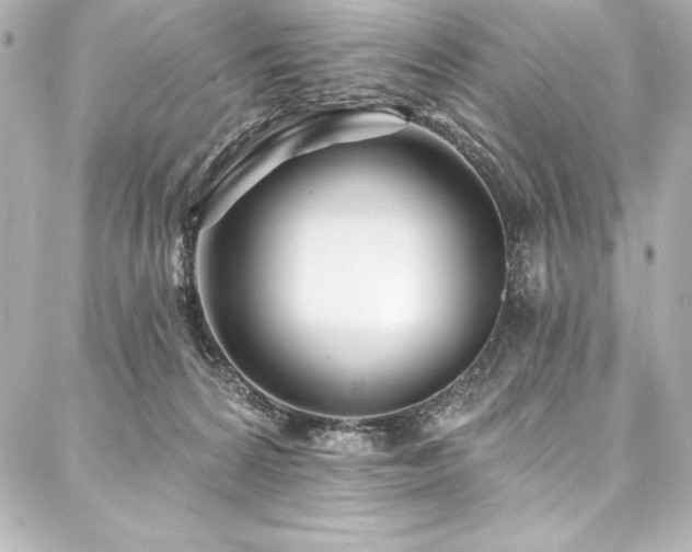 X0000088040224200705111239