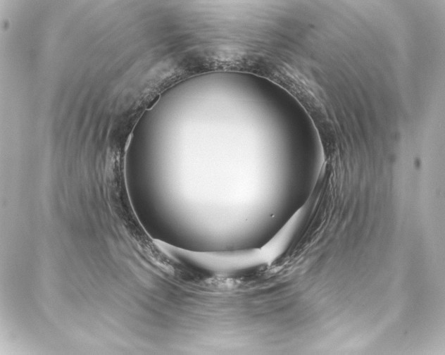 X0000088040225200705111239
