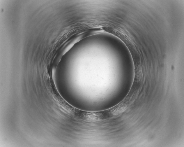 X0000088040229200705111239
