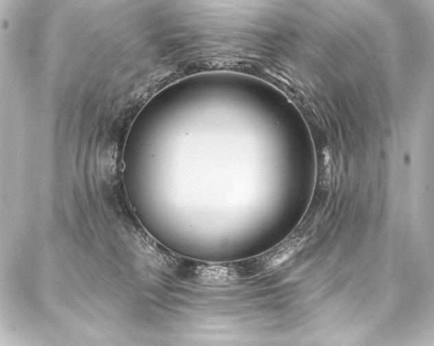 X0000088040230200705111239
