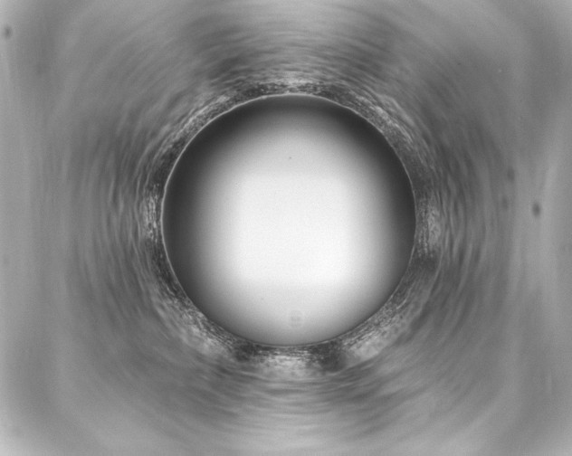X0000088040236200705111239