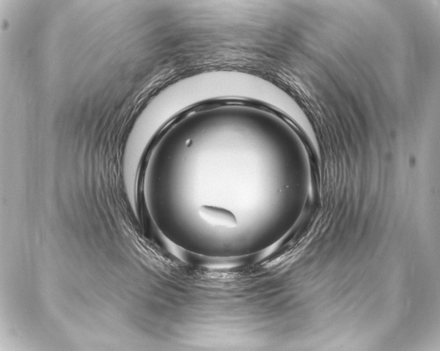 X0000088040237200705111238