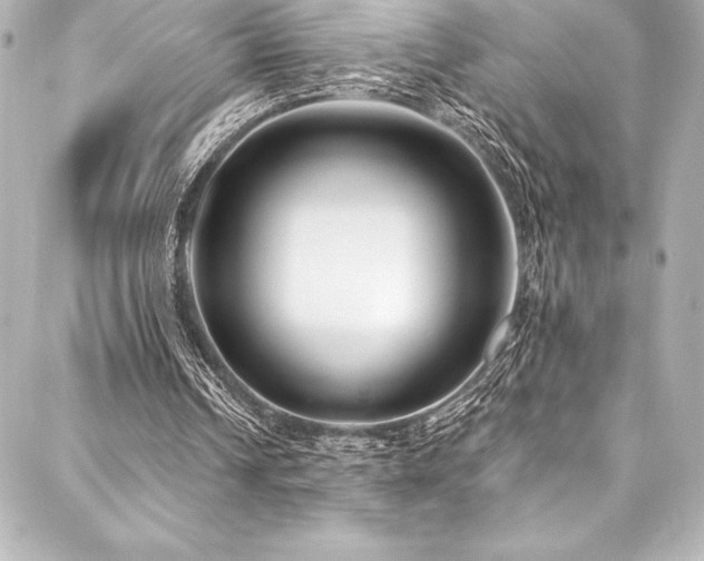 X0000088040242200705111238