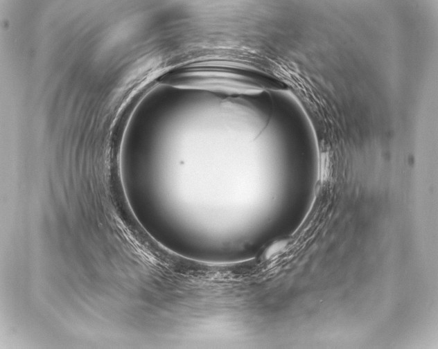 X0000088040243200705111238