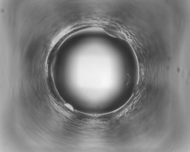 X0000088040246200705111238