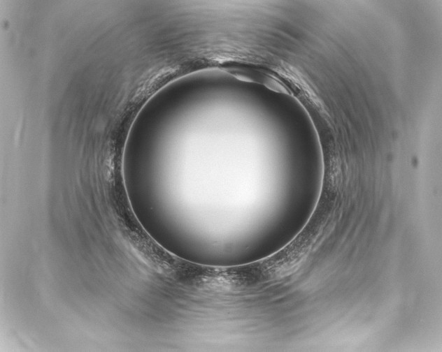 X0000088040259200705111238