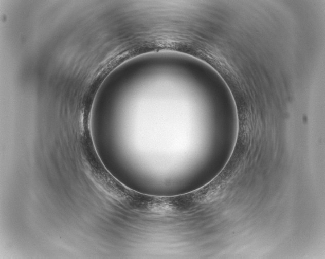 X0000088040262200705111238