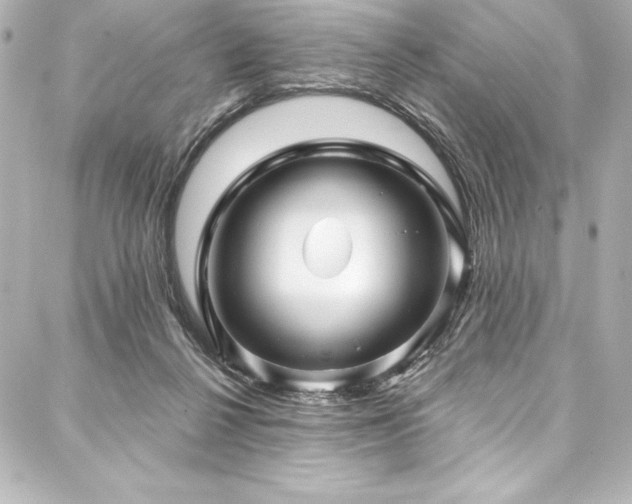 X0000088040264200705111238