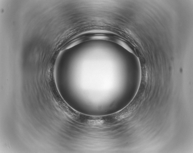 X0000088040266200705111238