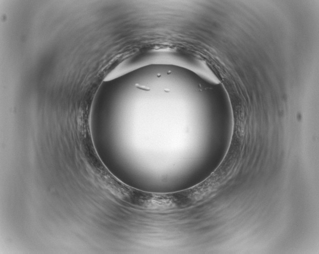 X0000088040270200705111238