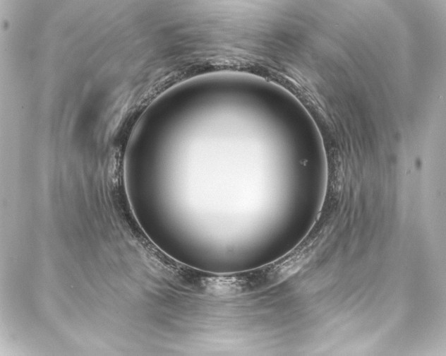 X0000088040273200705111238