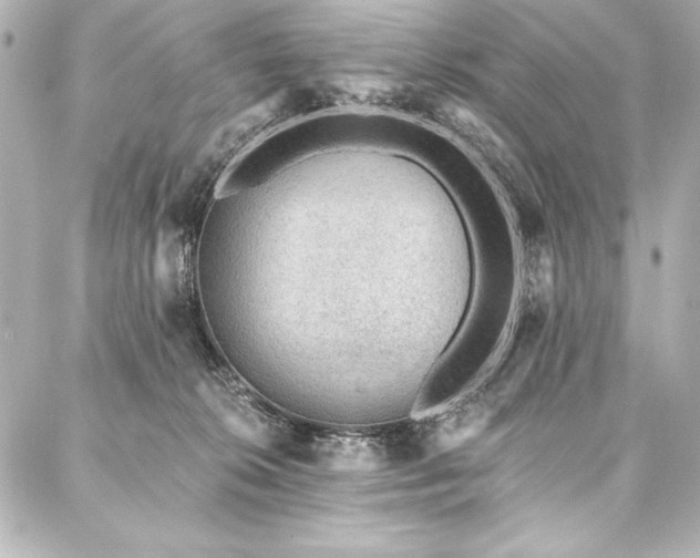 X0000088040276200705111238