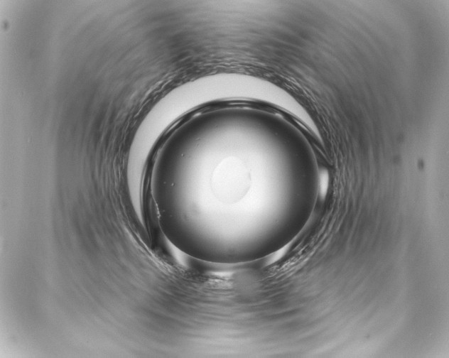 X0000088040280200705111238