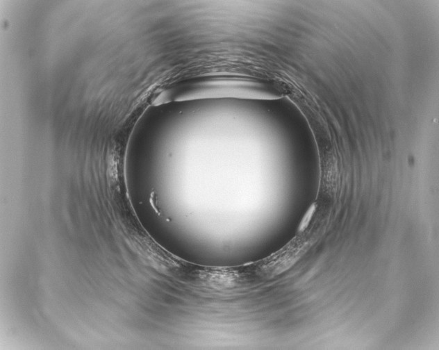 X0000088040282200705111238