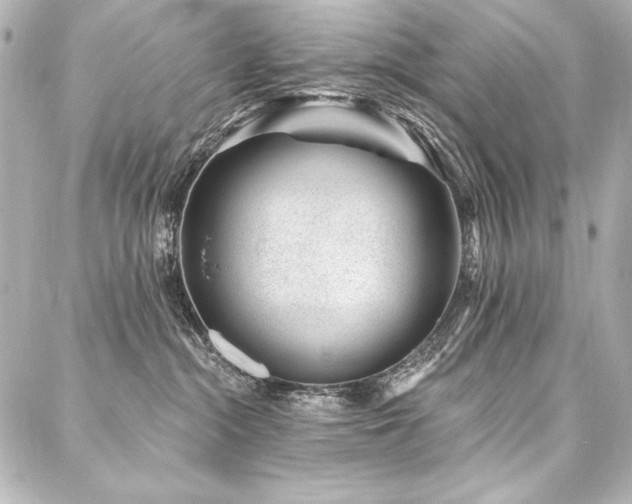 X0000088040284200705111238