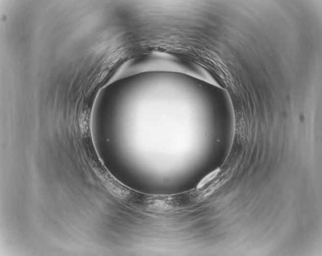 X0000088040285200705111238