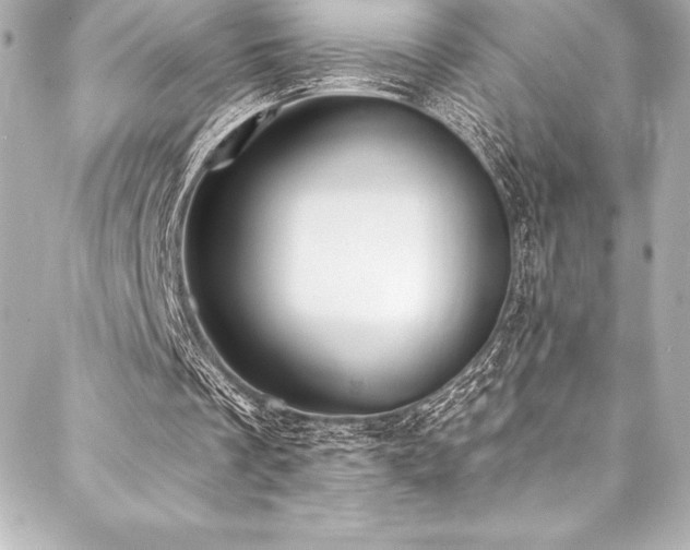 X0000088040289200705111238