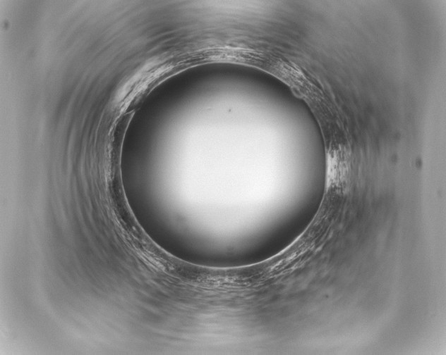 X0000088040291200705111238