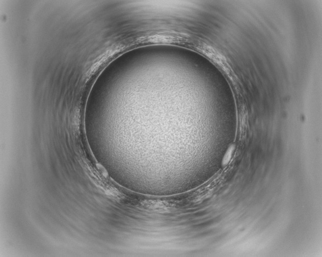 X0000088040297200705111238