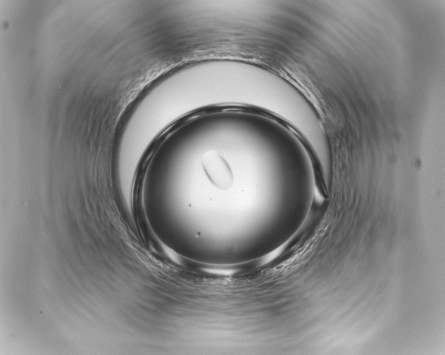 X0000088040301200705111237