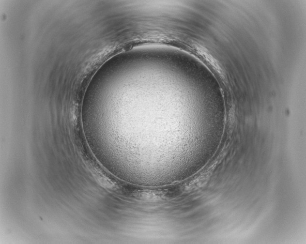 X0000088040305200705111237