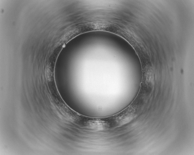 X0000088040316200705111237