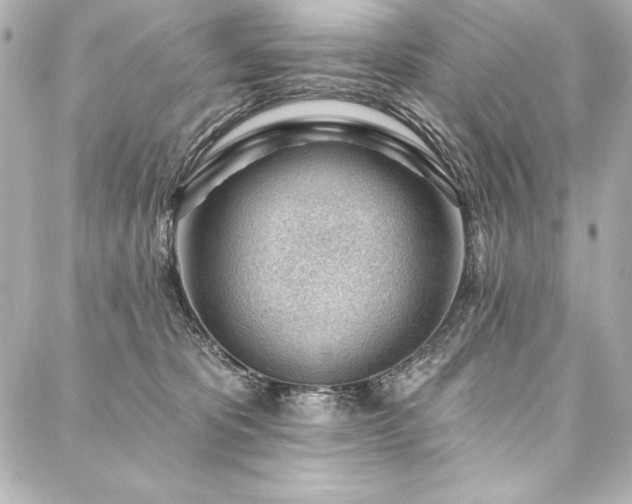 X0000088040325200705111237