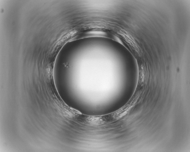 X0000088040333200705111237