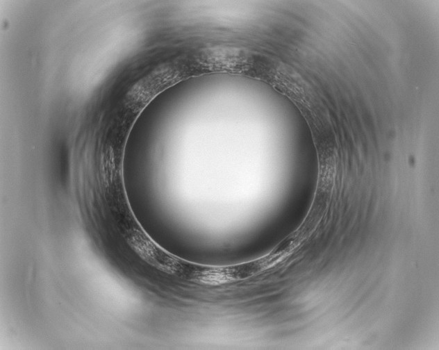 X0000088040335200705111237