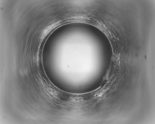 X0000088040340200705111236
