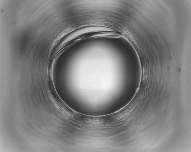 X0000088040349200705111236
