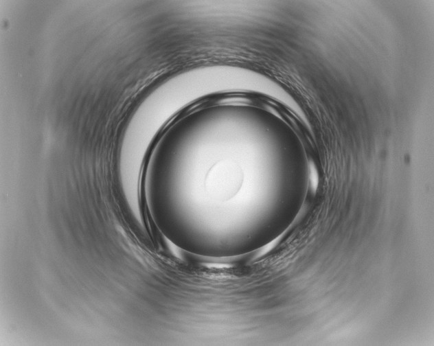 X0000088040360200705111236