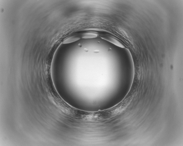 X0000088040366200705111237