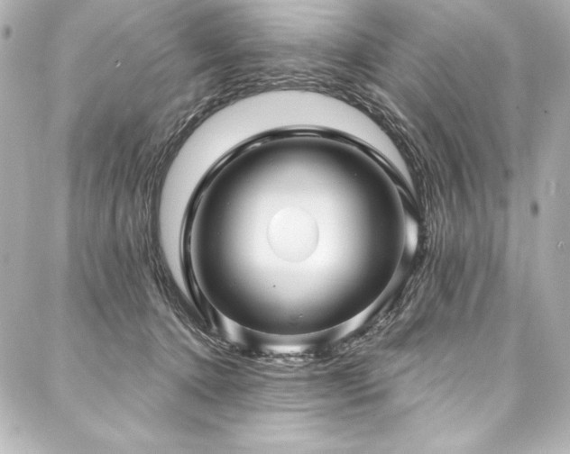 X0000088040368200705111237