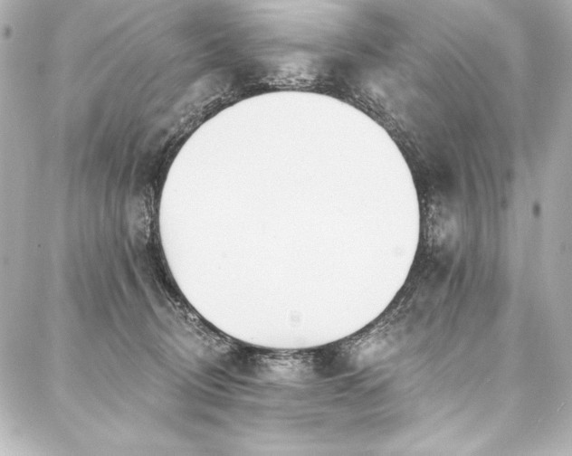 X0000088040370200705111237