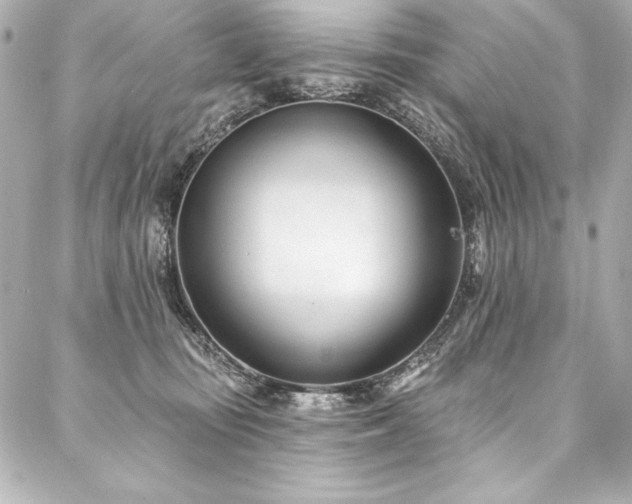 X0000088040371200705111237