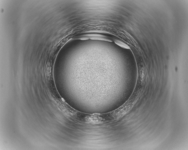 X0000088040372200705111237