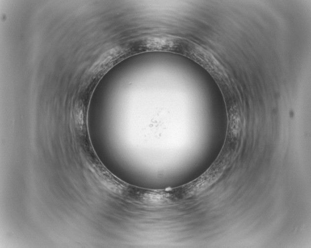 X0000088040375200705111237