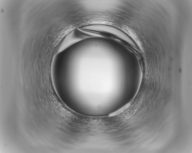 X0000088040385200705111236
