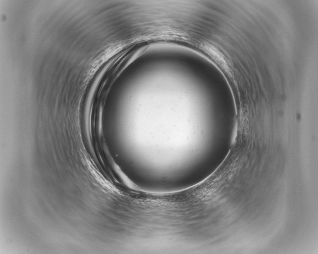 X0000088040389200705111236