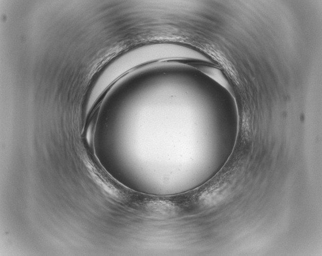 X0000088040397200705111236