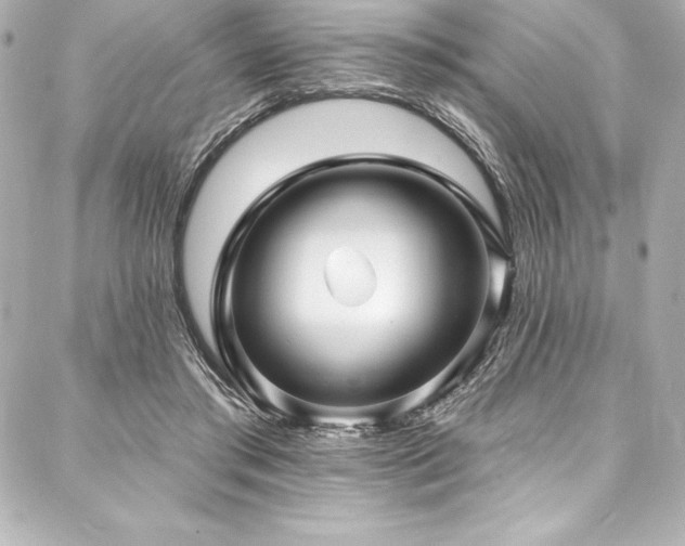 X0000088040405200705111236