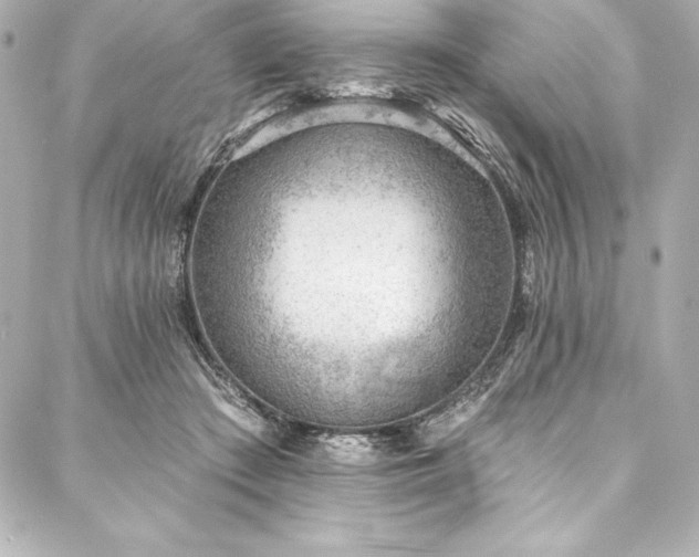 X0000088040409200705111236