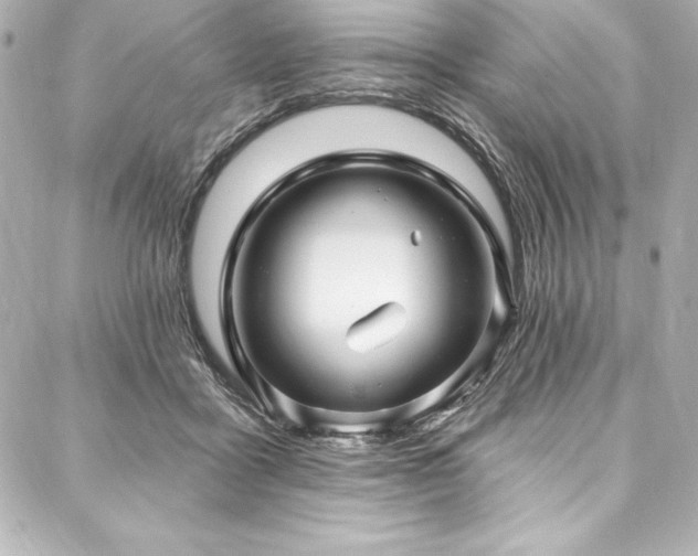 X0000088040411200705111236